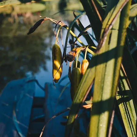 Hotelik 汽车旅馆