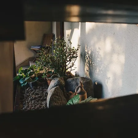 汽车旅馆 Hotelik 3*